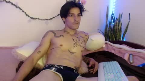 Snapshot of apolo01_ chatting on 23, 12, 2024 Apolo online show from 23, 12, 2024