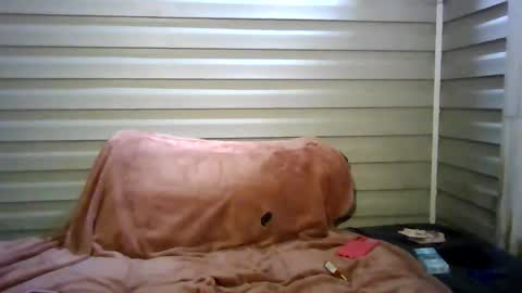 Snapshot of aprilanna chatting on 4, 3, 2026 AnnaApril420 online show from 4, 3, 2026