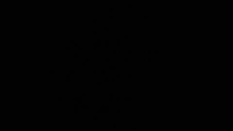 Snapshot of ares_xxxx chatting on 16, 12, 2024 ARES online show from 16, 12, 2024