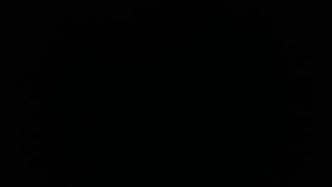 Snapshot of ares_xxxx chatting on 31, 1, 2025 ARES online show from 31, 1, 2025