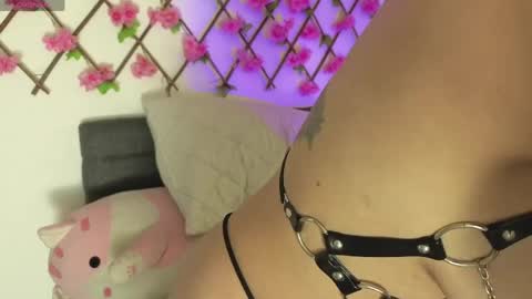 aria_silk online show from 20, 4, 2026