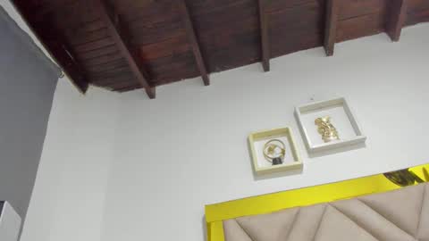  ARI  online show from 24, 9, 2025