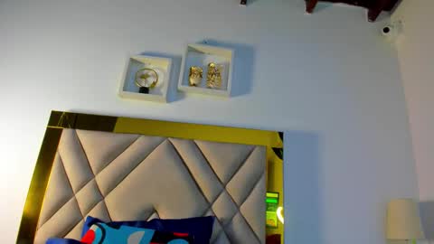  ARI  online show from 30, 11, 2025