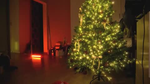 Snapshot of arianna_richi chatting on 30, 12, 2024 Olivka online show from 30, 12, 2024