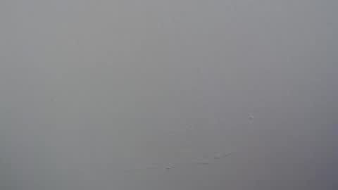 Snapshot of ariannaloovel chatting on 11, 4, 2026 ariannaloovel online show from 11, 4, 2026