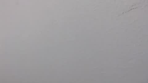 Snapshot of ariannaloovel chatting on 14, 6, 2026 ariannaloovel online show from 14, 6, 2026