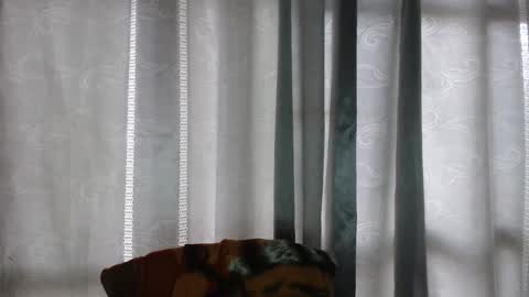 ARMANDO online show from 16, 12, 2025