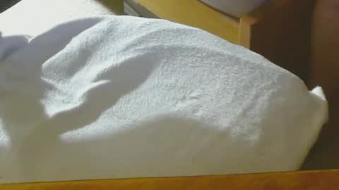 Arnie  online show from 22, 12, 2024