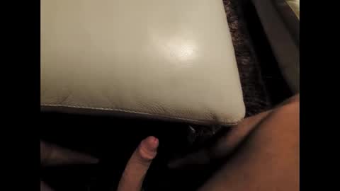 arnoldia343515 online show from 2, 2, 2026