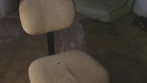 Snapshot of aron_7 chatting on 8, 3, 2025 aron_7 online show from 8, 3, 2025