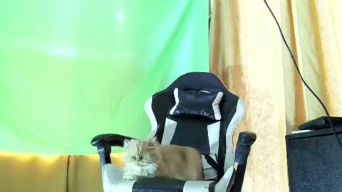 aronmiller online show from 21, 7, 2026