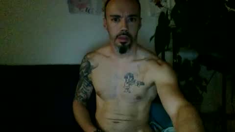 ars3 online show from 8, 6, 2026