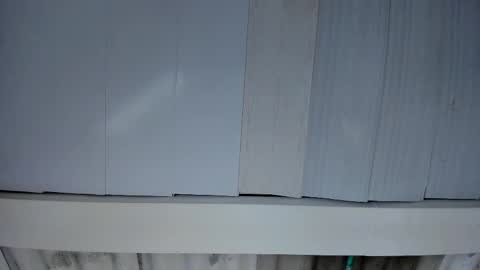 FENIX online show from 25, 11, 2025