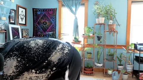 Snapshot of artiepaints chatting on 22, 12, 2024 Artie Paints online show from 22, 12, 2024