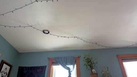 Snapshot of artiepaints chatting on 3, 1, 2025 Artie Paints online show from 3, 1, 2025