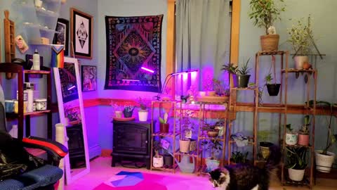 Snapshot of artiepaints chatting on 4, 1, 2025 Artie Paints online show from 4, 1, 2025