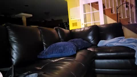 Snapshot of artiepaints chatting on 18, 1, 2025 Artie Paints online show from 18, 1, 2025