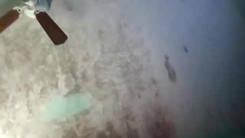 the chosen one online show from 12, 11, 2025