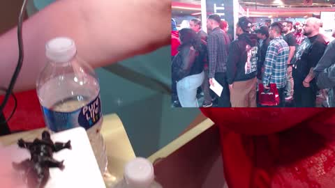 SweetAshCheeks online show from 19, 1, 2026