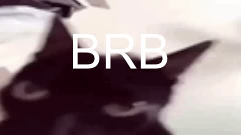 AshleyAshe  online show from 17, 1, 2025