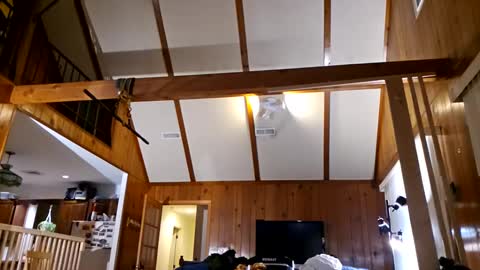 Snapshot of ashelynngrey1986 chatting on 27, 2, 2025 Ashelynn Grey online show from 27, 2, 2025