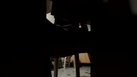 Snapshot of ashutoshkhanna chatting on 15, 2, 2026 ashutoshkhanna online show from 15, 2, 2026