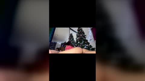 asian_babeee online show from 2, 12, 2025