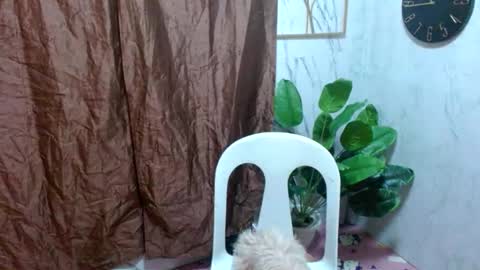 Snapshot of asianhotbigcock chatting on 21, 2, 2025 Nico online show from 21, 2, 2025