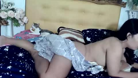 asianladyboy888 online show from 13, 11, 2025