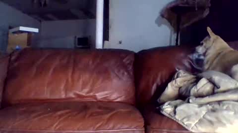 Snapshot of assholeslut9000 chatting on 15, 12, 2025 Tell me spread and Ill spread online show from 15, 12, 2025