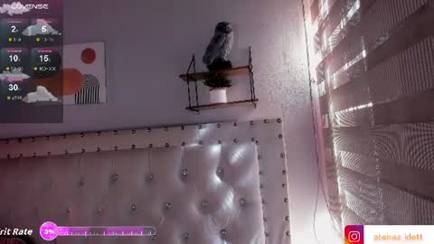 Snapshot of atenea_klett_ chatting on 22, 6, 2026 ATENEA online show from 22, 6, 2026