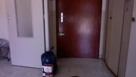 Snapshot of auguste688483 chatting on 13, 3, 2026 auguste688483 online show from 13, 3, 2026