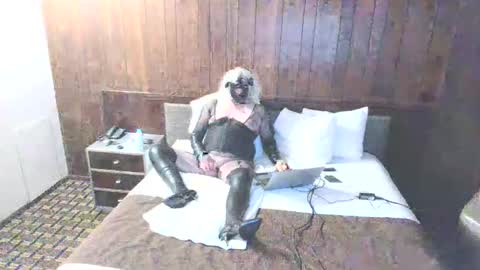 Dodge001 online show from 31, 12, 2024