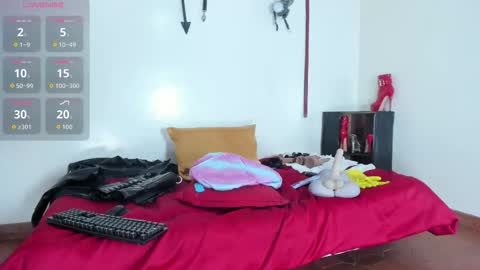 Aurora online show from 25, 2, 2026