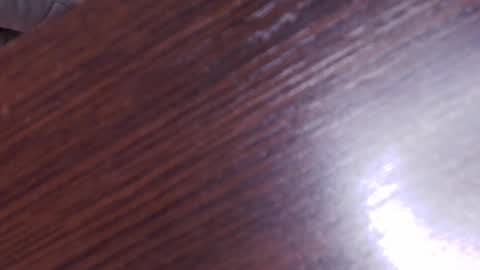 Aurora Diaz online show from 8, 2, 2025