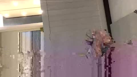 Aussie fatcock online show from 18, 2, 2025