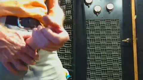 aussieraz online show from 4, 11, 2025