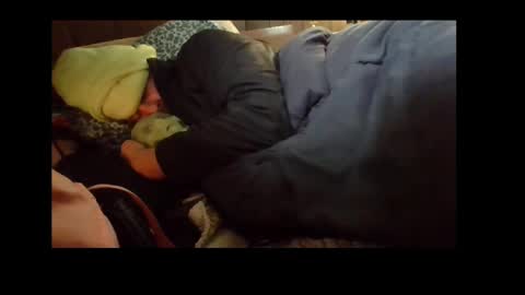 Snapshot of automaticmechanic chatting on 4, 12, 2024 Senior Agua online show from 4, 12, 2024