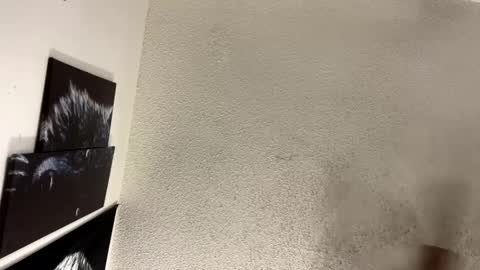 Snapshot of avalkyerieandherheathen chatting on 5, 2, 2025 Lily Orion online show from 5, 2, 2025