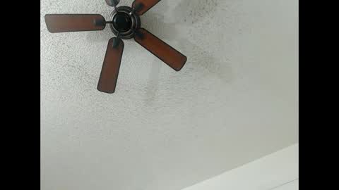 Snapshot of avalkyerieandherheathen chatting on 13, 2, 2025 Lily Orion online show from 13, 2, 2025