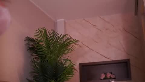 Ava online show from 6, 2, 2026