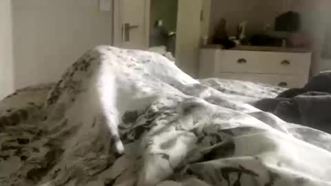 averagebar online show from 17, 3, 2026