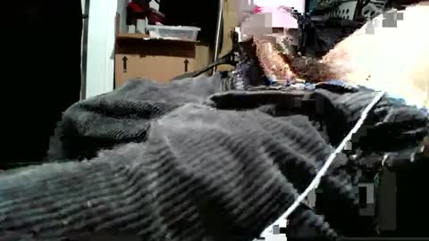 Snapshot of averagecharles757569 chatting on 9, 10, 2025 averagecharles757569 online show from 9, 10, 2025