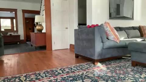 Snapshot of avgdiver chatting on 12, 2, 2026 avgdiver online show from 12, 2, 2026