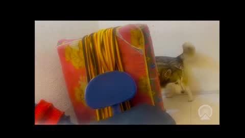 Snapshot of axelpadilla98 chatting on 4, 2, 2026 deliciosodemente online show from 4, 2, 2026