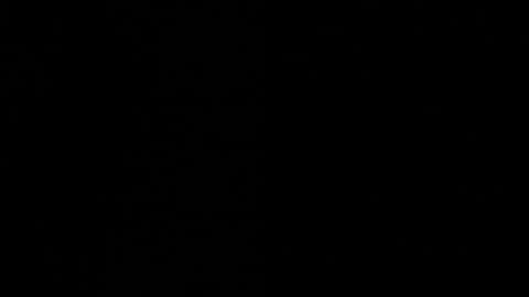 Snapshot of aydenmillerdom chatting on 2, 12, 2024 Ayden Miller online show from 2, 12, 2024