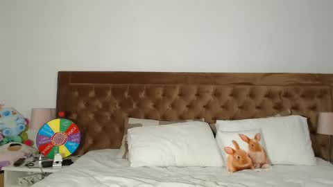 Aylin online show from 31, 12, 2024