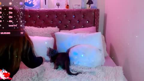 Snapshot of azamy_12 chatting on 24, 12, 2024 Amanda online show from 24, 12, 2024