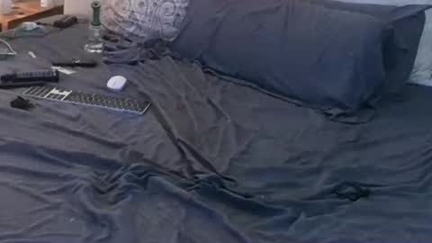 azslamslut2gape online show from 15, 11, 2025