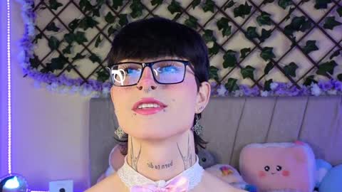  Dani  online show from 5, 12, 2024